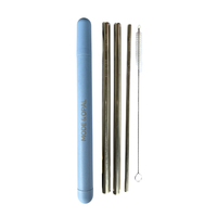 Stainless Steel Straw Set
