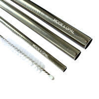 Stainless Steel Straw Set