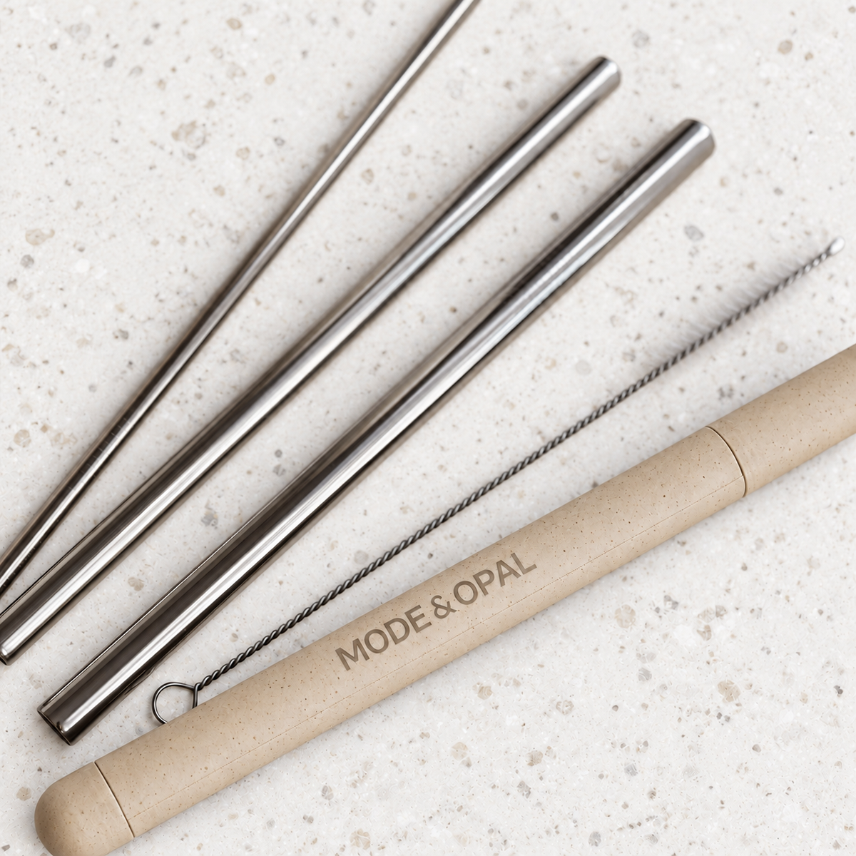 Stainless Steel Straw Set with Case and Cleaning Brush