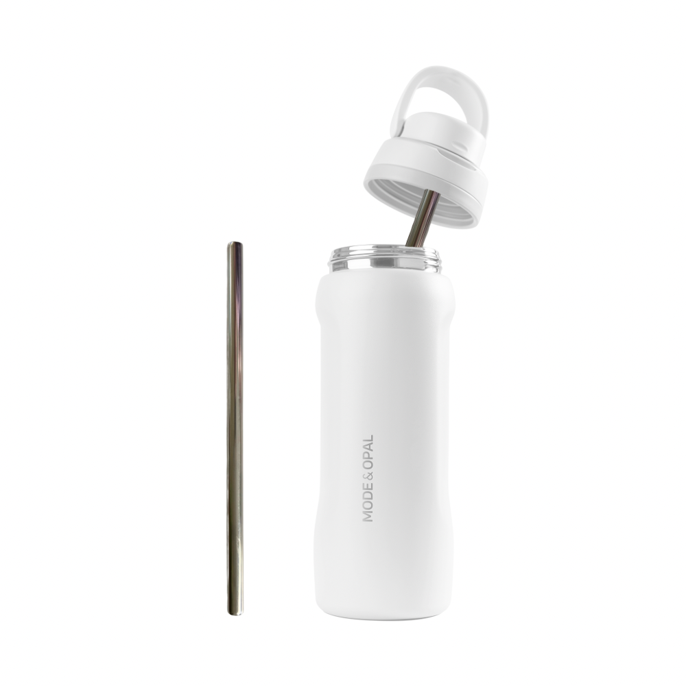 Stainless Steel Straw