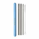 Stainless Steel Straw Set with Case and Cleaning Brush
