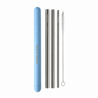 Stainless Steel Straw Set with Case and Cleaning Brush