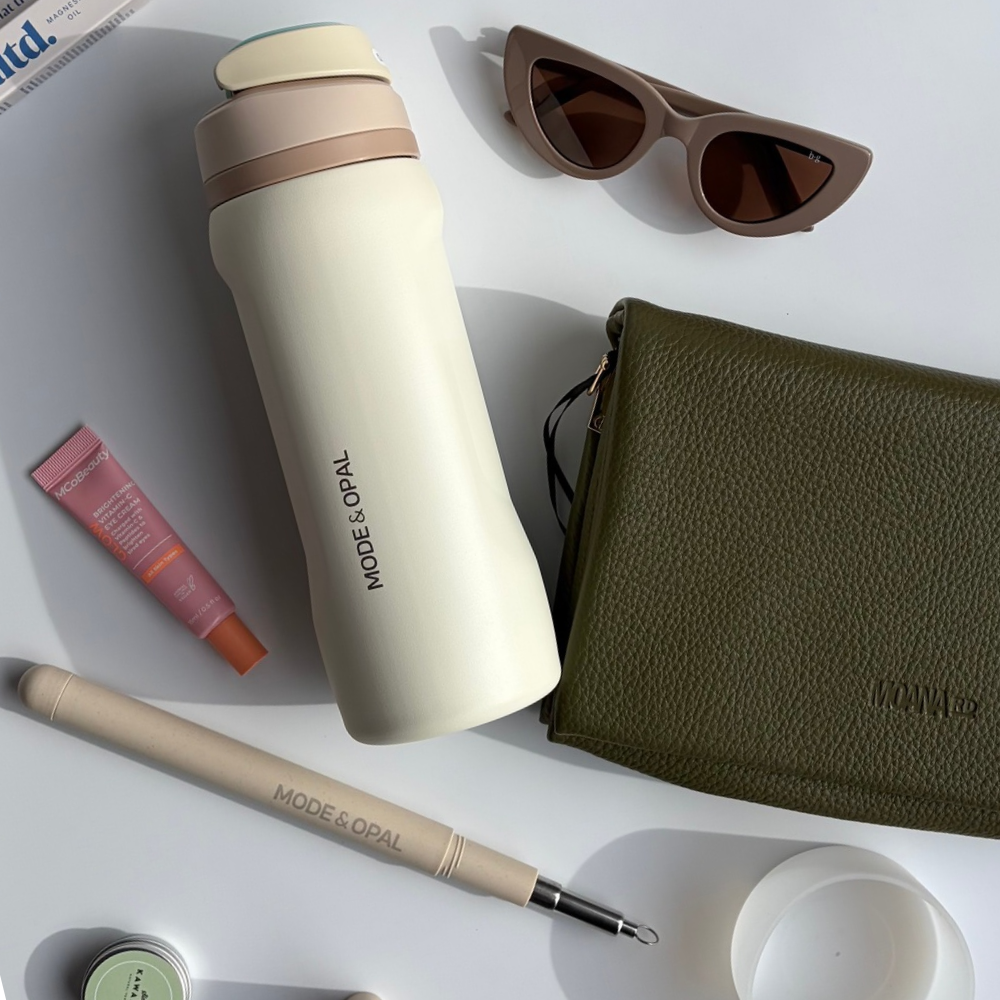 Stainless Steel Straw Set with Case and Cleaning Brush